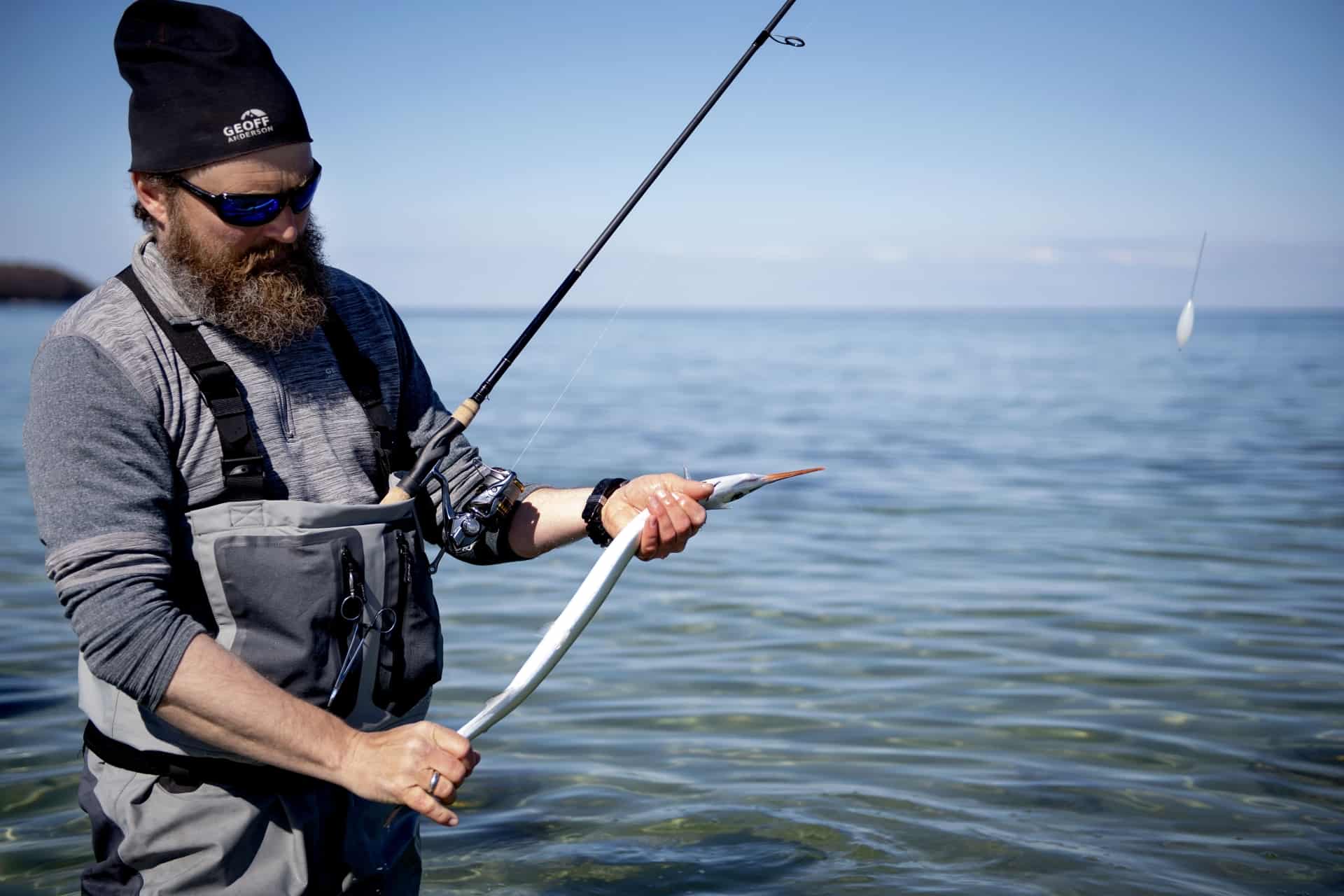 S Dan Fisker Du Hornfisk Fire Teknikker Til At Fange Den Popul Re Fisk