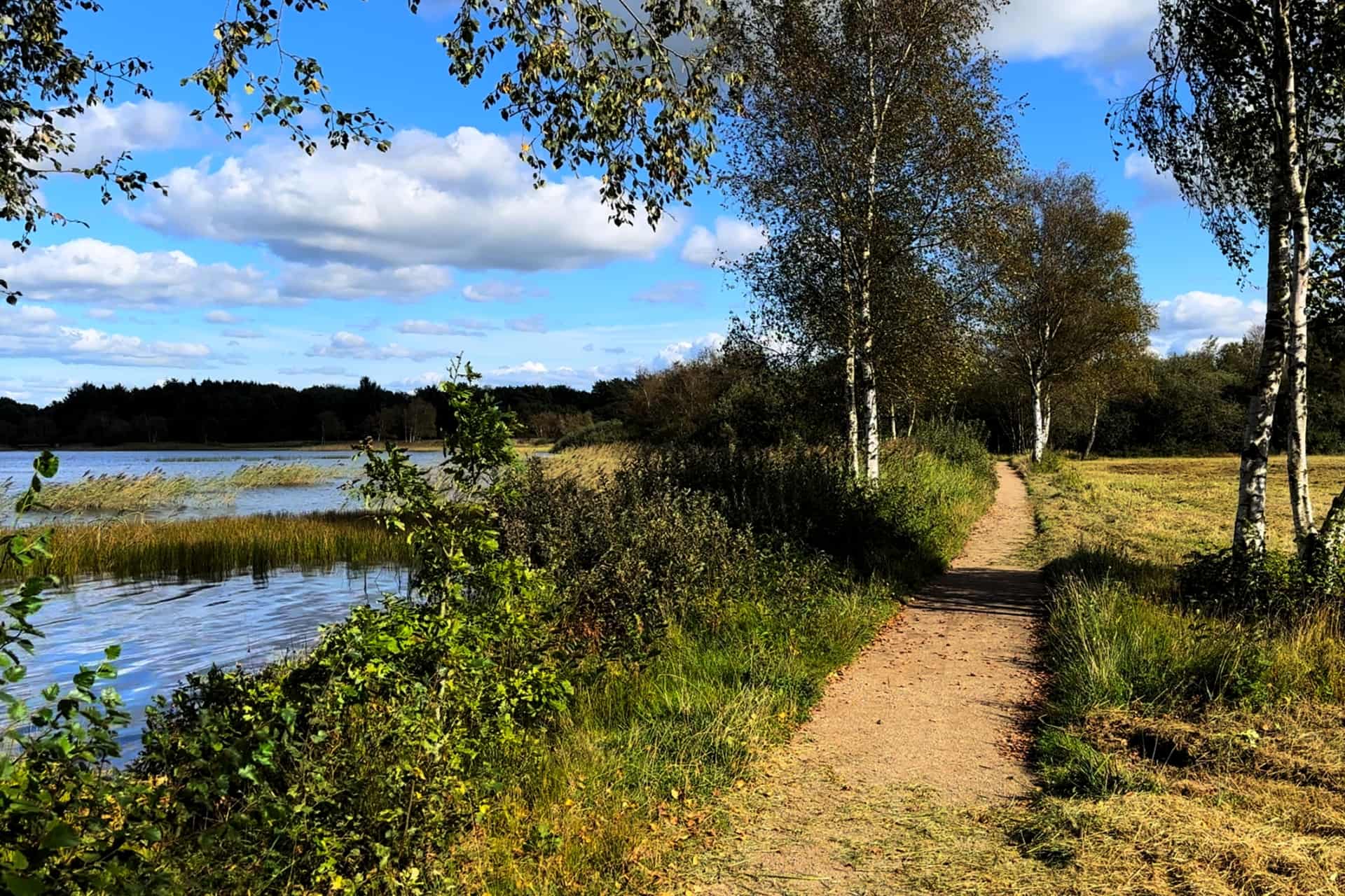 Chokerende nyt i sagen om hunden Tenka der blev skudt ved Kvie Sø