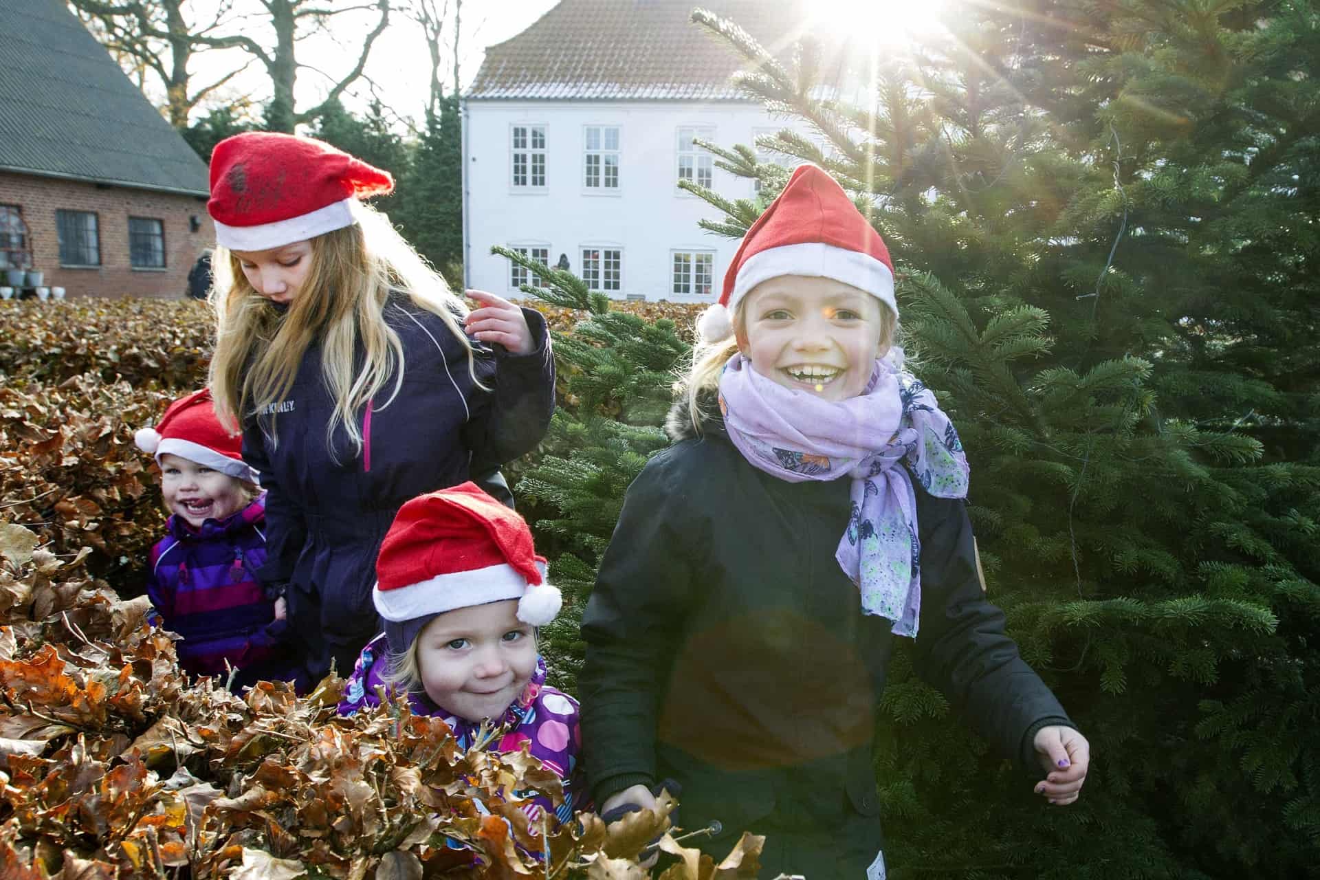 Stort overblik Her kan du opleve årets julemarkeder i Vejle området