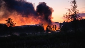 Natten mellem søndag og mandag, den 11. og 12. juli, brændte Borbjerg Mølle Kro stort set ned til jorden. 600 års historie var gået op i flammer og røg. Foto: Presse-fotos.dk