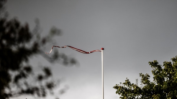 Blæsevejr sender strømpriser i bund: - Man har sat havvindmøllerne i stå