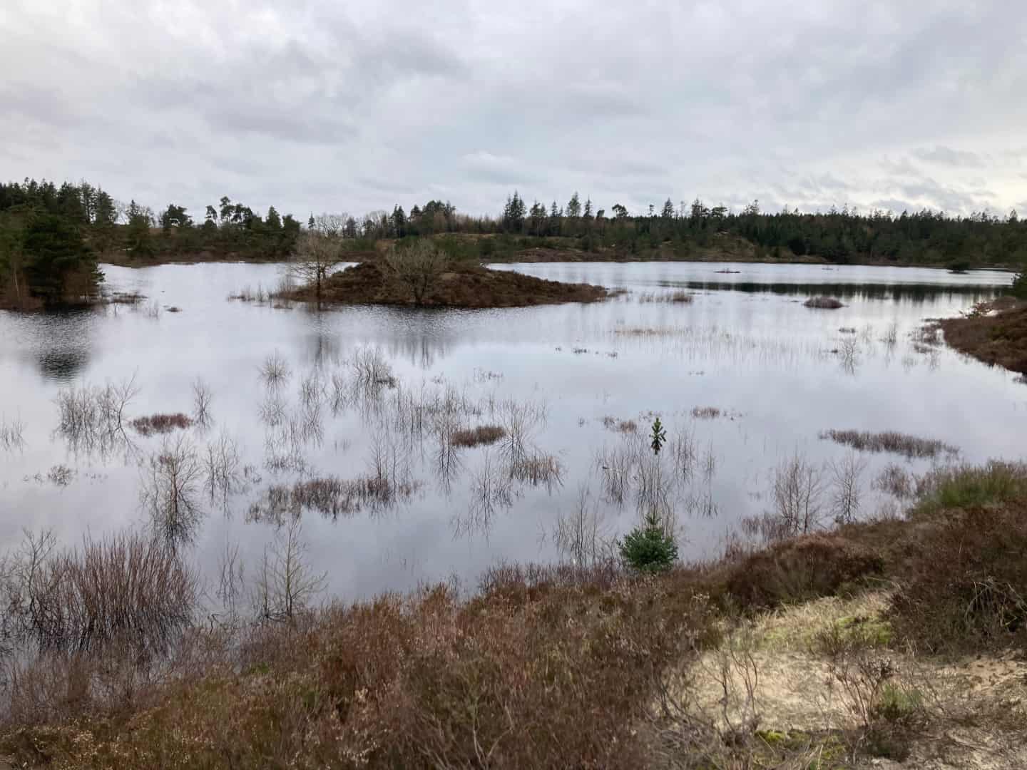 Se billeder fra naturens under: Her er et forslag til en unik vandretur ...