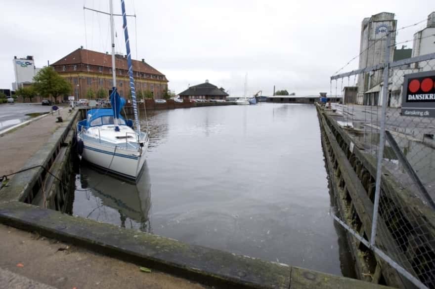 Fisk Og Bunddyr Snappede Efter Ilt - Nu Er Kommunen Klar Med En ...