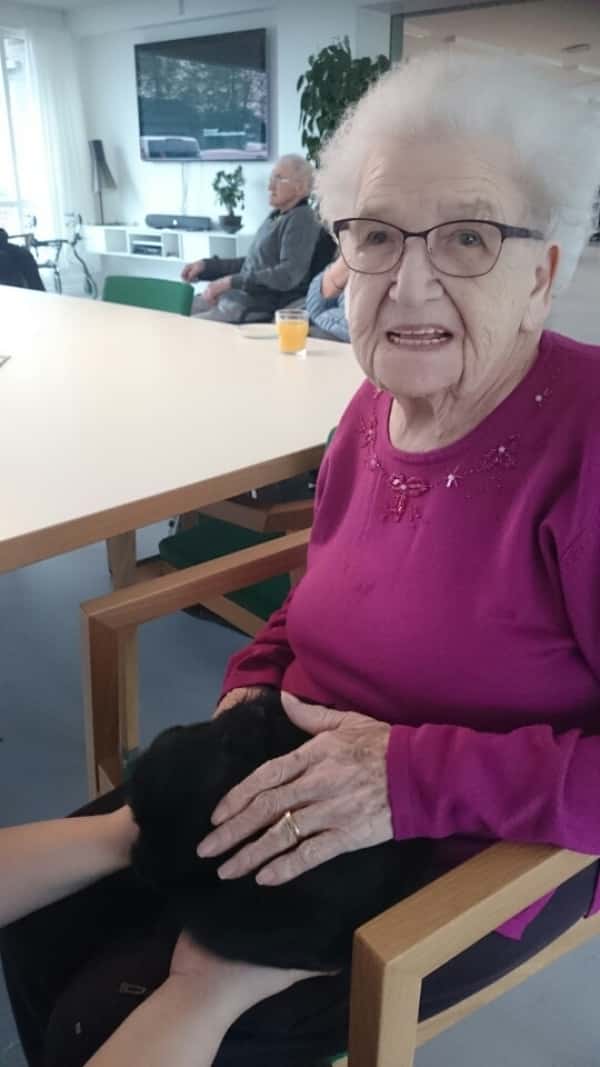 Hundehvalpe på udflugt til Dronning Ingrids Hjem | ugeavisen.dk