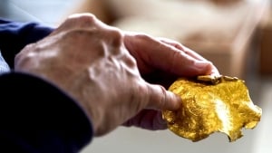 En detektørfører har fundet en kæmpestor guldskat ved Jelling på næsten et kilo oldtidsguld. Foto: Vejlemuseerne