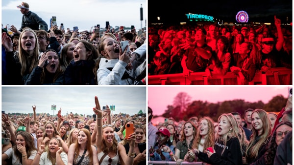Her får du mest for pengene på de fynske festivaler: Især én byder på absurd meget musik til prisen