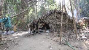 Bateq er et oprindeligt folk, der tidligere levede i regnskovene på hele den mallakiske halvø. De er også kendt som skovfolket. Nu findes de stort set kun i Taman Negara i den nordlige del af Malaysia. Foto: Jørgen Leon Knudsen