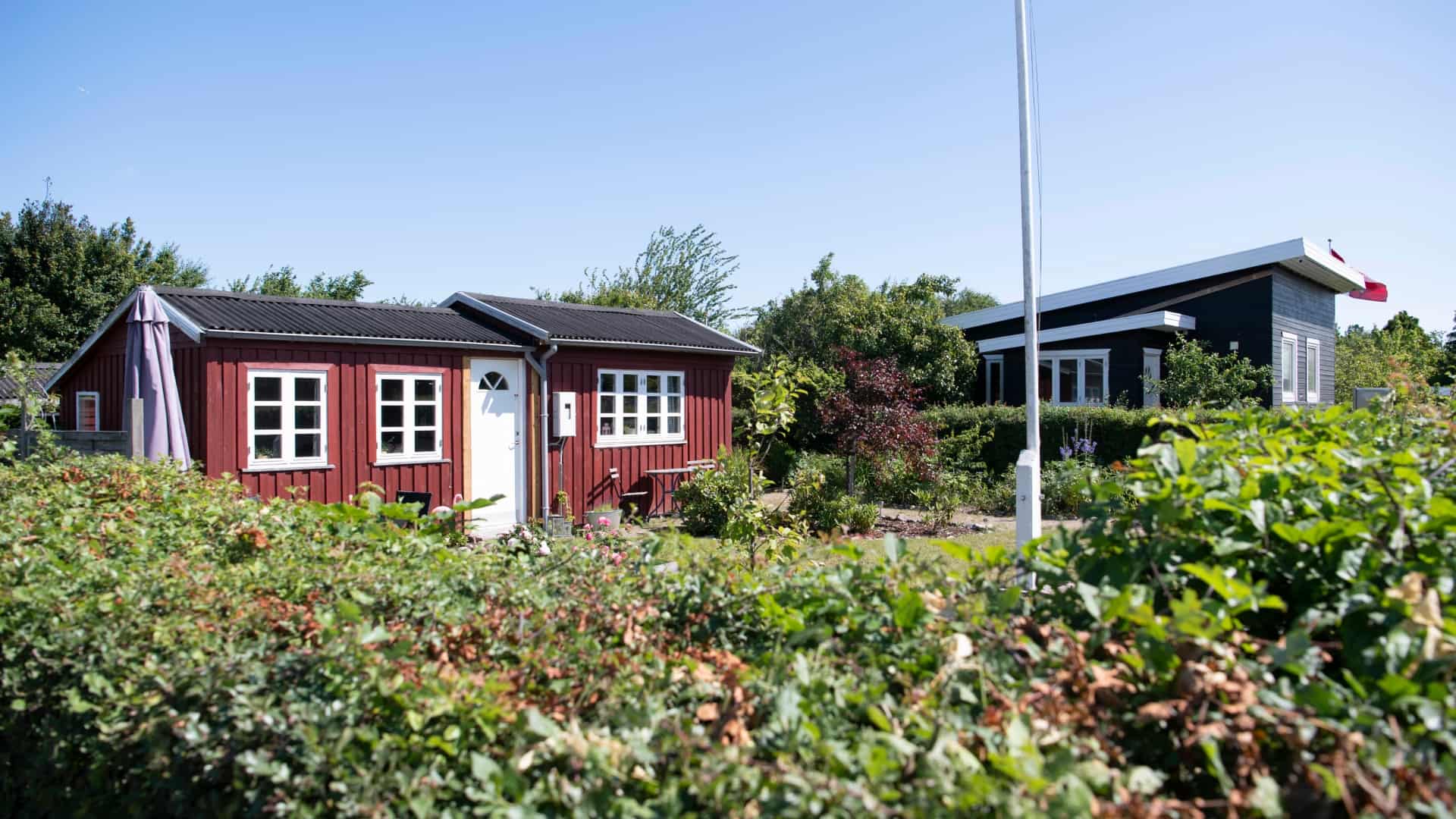 Kolonihaver kan være på vej til Lystrup - få et hurtigt overblik over ...
