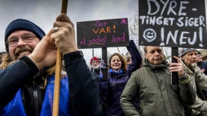 Godt 250 borgere mødtes i Kruså for at demonstrere mod vildsvinehegnet. Foto: Hans Chr. Gabelgaard