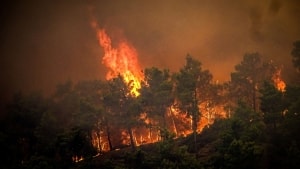 Den græske ferieø Rhodos har været plaget af naturbrande i løbet af de seneste dage. Brandene har tvunget tusindvis af turister til at flygte. Foto: Eurokinissi/Reuters