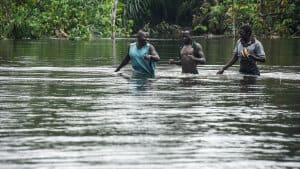 Nigeria har i år oplevet voldsomme oversvømmelser, der har kostet hundredvis af mennesker livet. Rige lande bør investere i klimahandling i fattige lande, hedder det i ny rapport. (Arkivfoto). Foto: Pius Utomi Ekpei/Ritzau Scanpix
