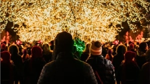 Odense Zoo inviterer i år på et stort juleevent. PR-foto: Odense Zoo