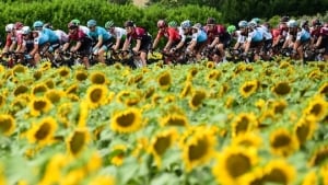 Vejle Kommune indgår Tour de France-samarbejde med Jelling Musikfestival
