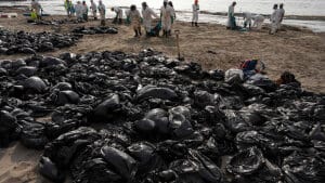 Oprydningsmandskab fjerner olie fra en strand ved feriebyen Ancon ved det nordlige Lima. Foto: Cris Bouroncle/Ritzau Scanpix