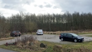 Østjyllands Politi modtog tirsdag en anmeldelse af endnu en blotter i Mollerup Skov. Foto: Google Street View