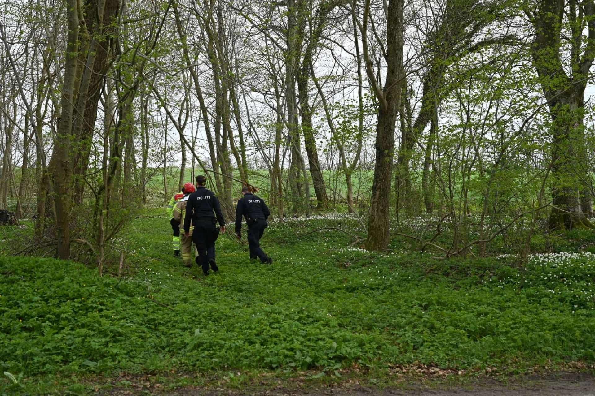 Skovområde Ramt Af Større Gylleudslip Det Er Endt Lykkeligt Stiftendk 