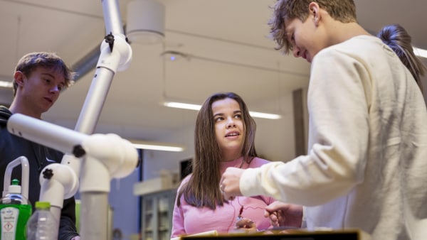 Mølholm Skole: De Dygtigste Elever Underviser I Naturvidenskab ...