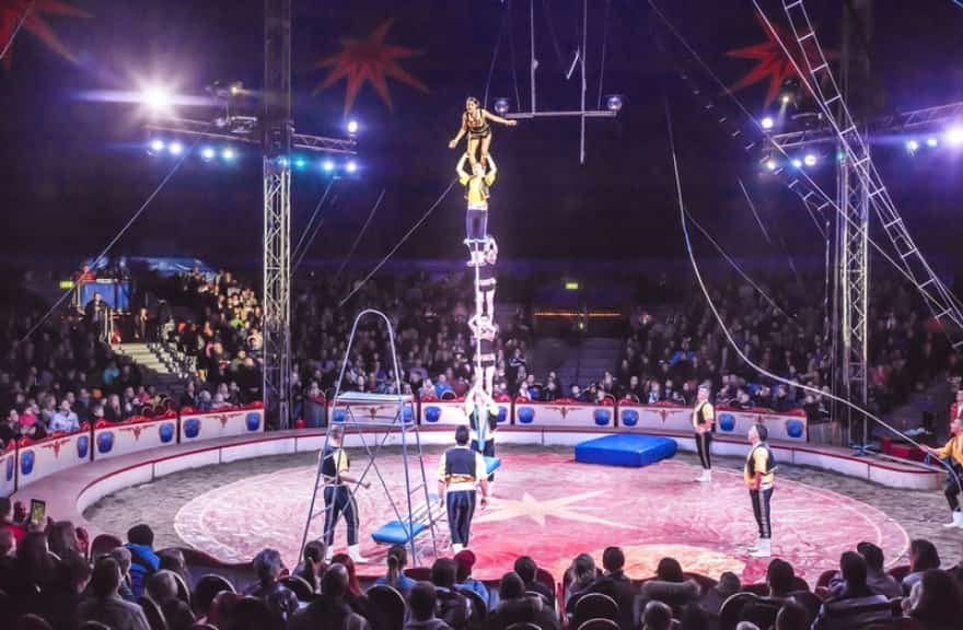 Stor vrangforestilling Tilbud svimmel Cirkus Arena har Vild med dans-venner med på turné | vafo.dk