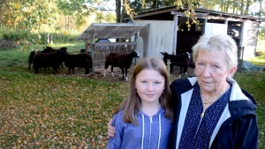 Fårene går i bunden af haven, de minder Sofie Egeberg om, at hun fodrede dem sammen med morfar, nu er mormor Hanne Lund, der sørger for, at dyrene får mad. Foto: Karina Øhlenschlæger