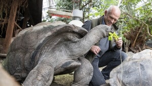 Odense Zoo Aflever En Sut Og Hjaelp En Giraf Fyens Dk Odense Zoo Aflever En Sut Og Hjaelp En Giraf Fyens Dk
