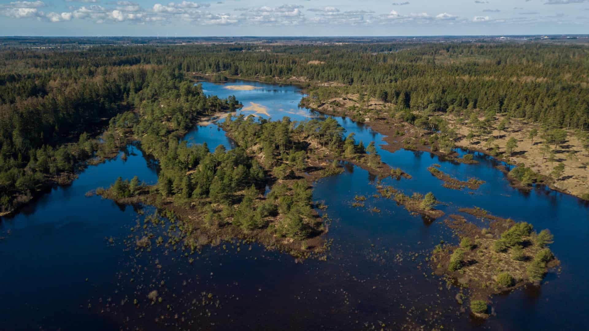 Syvårssøerne trækker flere til end nogensinde | ugeavisen.dk