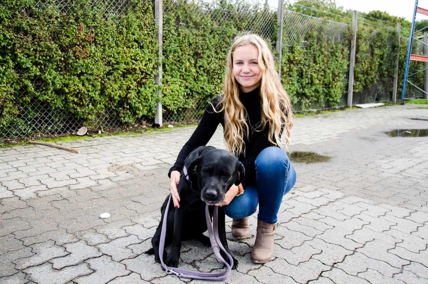 hastighed ego kanal 15-årig har skrevet sin egen fagbog: Hunde betyder alt for Kamille |  ugeavisen.dk