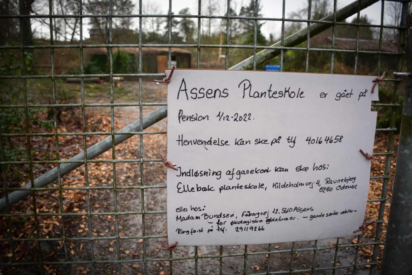 Lukket Planteskole Er Kommet Til Syne Fra Trafikeret Vej: - Det Ser Da ...