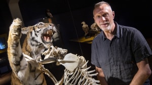 Erik Junge Madsen er i gang med det nye job på Naturhistorisk Museum. Foto: Axel Schütt