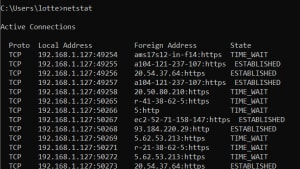 Måske skræmmer det nogle pc-brugere, at flere udenlandske IP-adresser er forbundet til deres pc. Men det er helt almindeligt. Screenshot