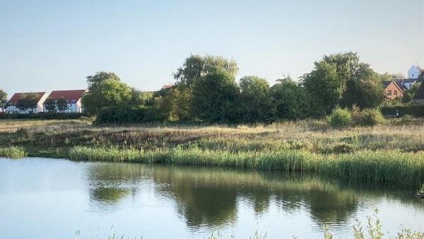 Det er os, der kommer til at betale: Det er nødvendigt, at vi nytænker vores landbrug