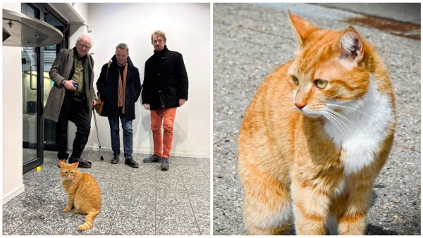 Grønt lys fra DSB til statue af Røde Allan: Koster 700.000 kroner - En meget usædvanlig situation