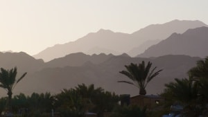 Landskaberne på Sinai er vildsomme og tørre, men ofte meget smukke. Foto: Jørgen Leon Knudsen