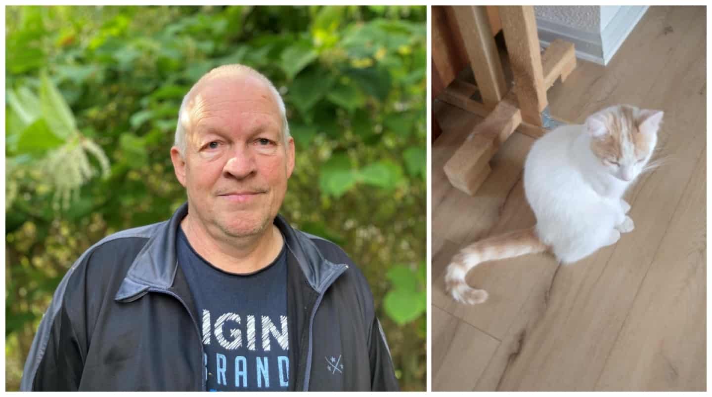 Katten Molly blev skudt i benet og måtte aflives: - Der findes rigtig uansvarlige derude | fyens.dk
