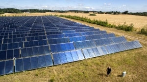Den mindste af ansøgningerne om solcellehjælp, som ligger hos Randers Kommune er på 48 hektar. Det svarer til cirka 70 fodboldbaner. Arkivfoto: Søren Gylling
