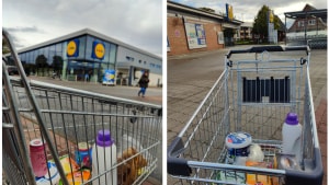 Lidl i Harrislee er en af flere, der ligger tæt på grænsen til Danmark. Derfra er der f.eks. kun 30 km til Lidl i Aabenraa. Foto: Katrine Jørgensen, jfm