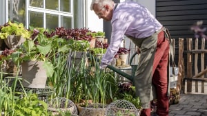 Havemanden Claus Dalby har skabt en krukkekøkkenhave i et hjørne af sin blomsterhave. Her dyrker han grøntsager hele året rundt. Foto: Claus Dalby/Forlaget Klematis