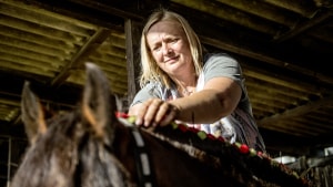 Chanet Madsen fra Glud bruger op mod fire timer på at klargøre sine heste. Foto: Morten Pape