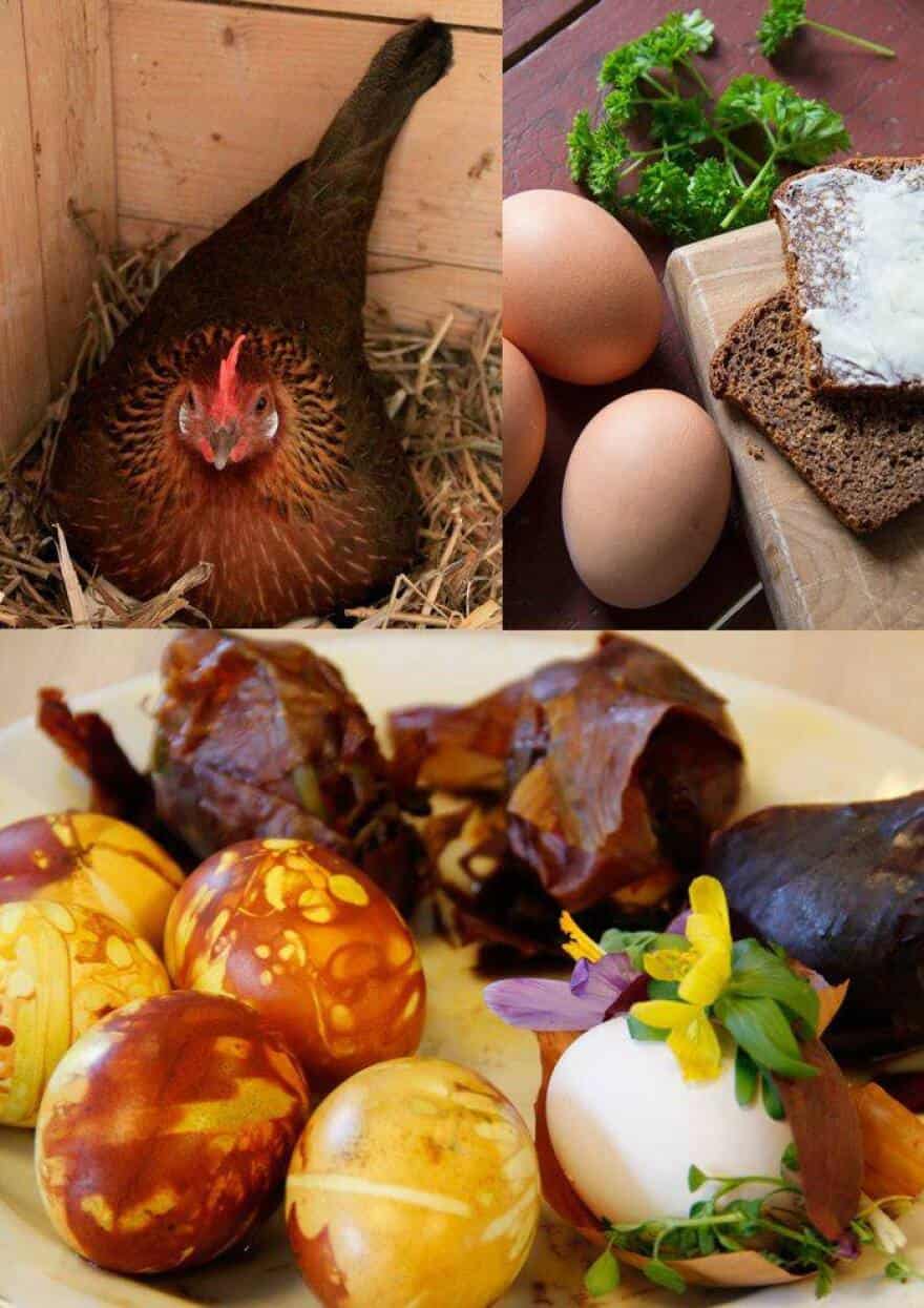 Påske med æg og urter | stiften.dk