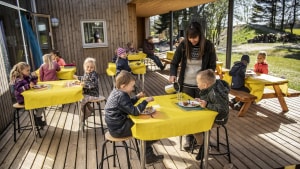 Prisen for at få passet sine børn i Hedensted Kommune er generelt højere end i Horsens og Vejle. Arkivfoto: Morten Pape