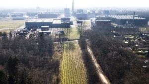 På luftfotoet her fra 2019 ses banegravsdepotet - striben mellem træerne - i forgrunden. Fabrikken i baggrunden hedder i dag IFF, og det er i princippet samme fabrik som Grindstedværket, men ejeren var en anden dengang. Arkivfoto: Martin Ravn