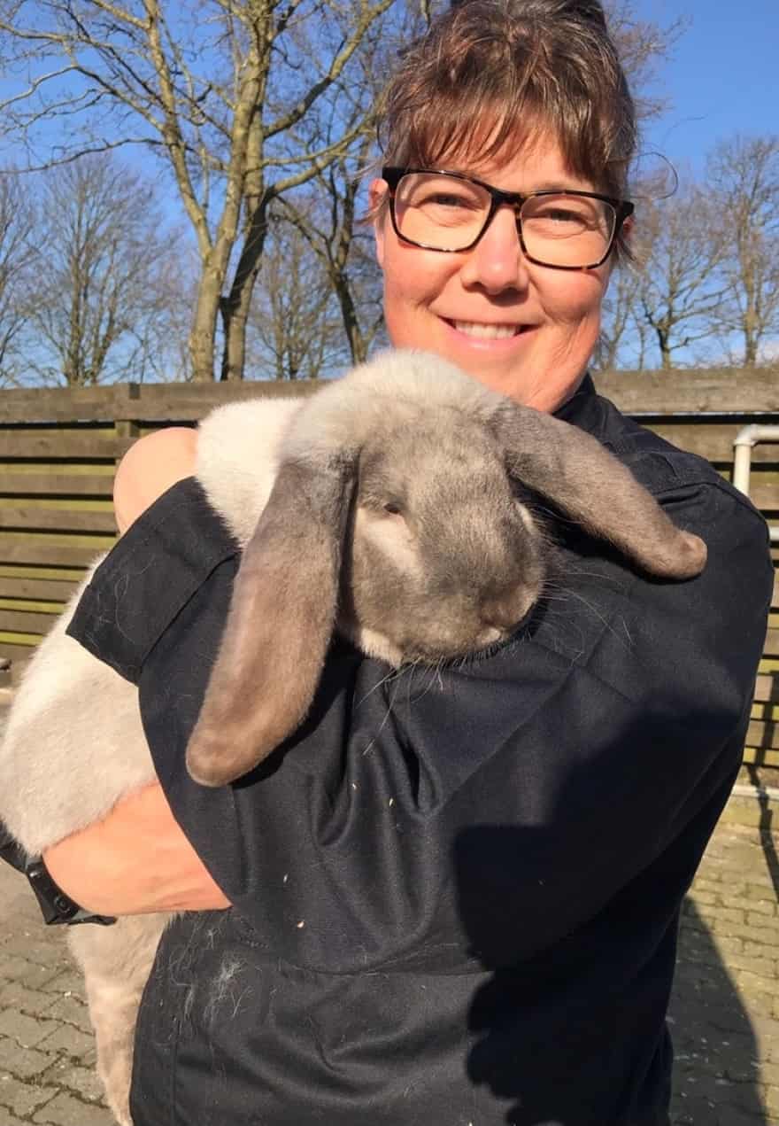 alien dusin Opaque Susanne opdrætter og sælger racekaniner til hele landet: - Jeg spiser da  også kaniner med velbehag | jv.dk