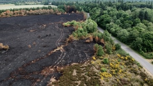 Branden på Randbøl Hede var bare én af mange naturbrande, som kostede overarbejdstimer hos TrekantBrand. Arkivfoto: Mette Mørk
