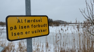 Det er ikke sikkert at bevæge sig ud på isen på hverken Horsens Fjord eller kommunens søer. Men det budskab var der rigtig mange, der ikke havde forstået i weekenden, hvor politiet har haft særdeles travlt med at hive folk ind på land. Arkivfoto