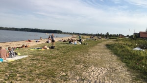 Stranden i Høll er meget populær, og nu skal der bygges et dige langs. Det vil dog ikke fylde meget i det samlede billede, og stranden forbliver lige brugbar for gæsterne. Arkivfoto: Jørgen Flindt