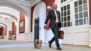 De Konservatives formand, Søren Pape Poulsen. Sammen med hans hund Maggie. (Arkivfoto). Foto: Søren Bidstrup/Ritzau Scanpix