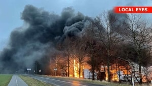 Det er i drivhuse ved Hundslev, at der onsdag eftermiddag er udbrudt brand. Foto: Local Eyes