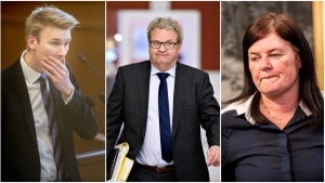 Flere retsordfører er overraset over nye tal for danskernes holdning til tyveri. Foto: Mads Claus Rasmussen, Philip Davali og Ida Marie Odgaard fra Ritzau/Scanpix.