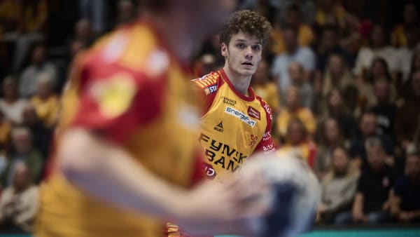 Rutinerede keeper blev afgørende, da GOGs unge satte ungarsk storhold på plads