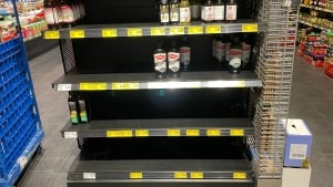 Når der i denne tid er tomme hylder i supermarkederne, handler det ofte om, at supermarkederne ikke kan nå at bestille og fylde op på på grund af hamstring. Arkivfoto: Jade Wittenkamp