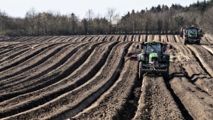 Landmænd raser over landbrugsstyrelsens it-systemer, som de mener er fejlbehæftede. Foto: Henning Bagger/Ritzau Scanpix)